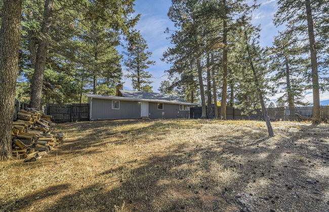 Pete's Place - Foto 40