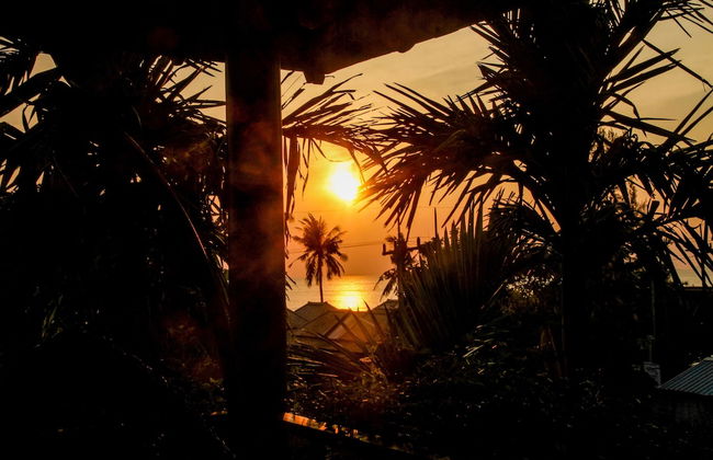 Thai Island Dream Estate - Photo 31