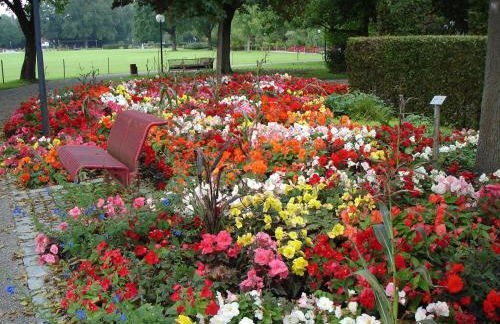 Europa Residenz Premium Suite - Foto 14