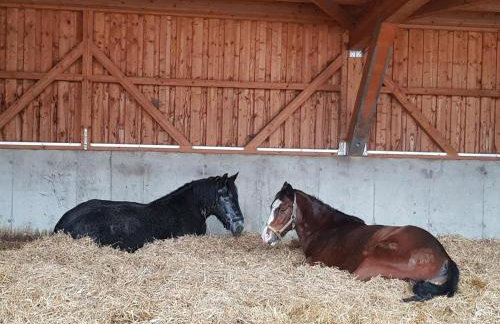 Moderne,ruhige Ferienwohnung in Eicherloh - Foto 11