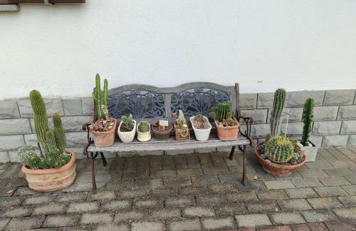 Villa Gaia Truffle Experience - Photo 42