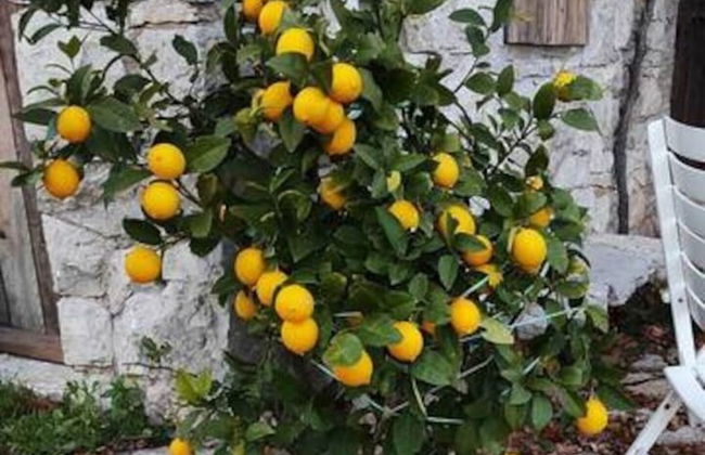 Lovely Cottage With sea Views in Selca, Croatia - Foto 39