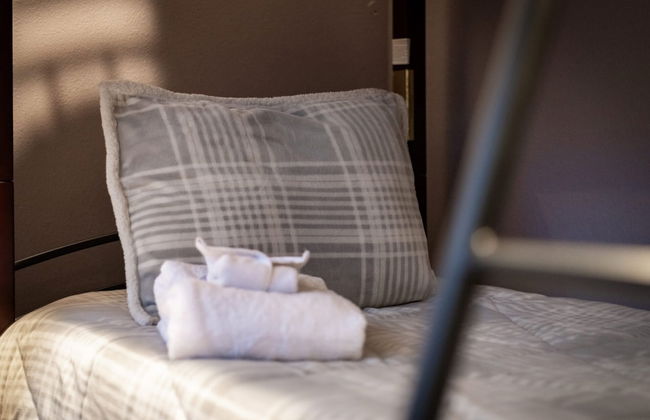 Ski In, Ski Out! 3 BDR Steps From Stagecoach Lift - Foto 8