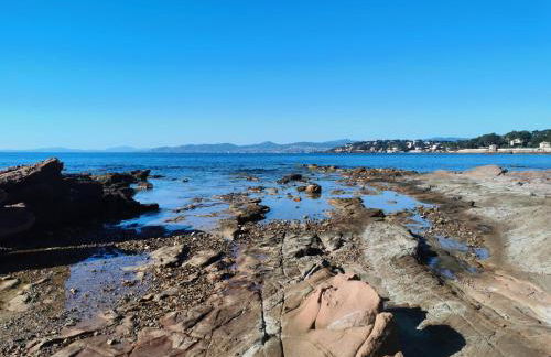 L' Arbouseraie - Foto 7