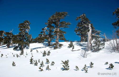 Tana di Zia Nature, Yourself, Love - Foto 46