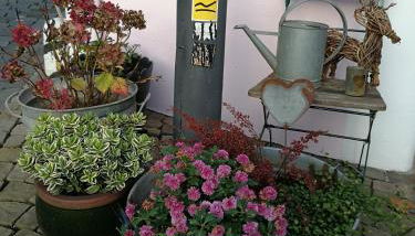 Siegen Altstadt Oberstadt Häuschen - Foto 4