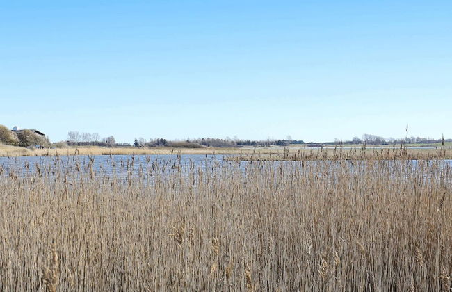 4 Person Holiday Home in Martofte-by Traum - Foto 4