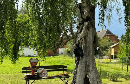 Ferienhaus Barlin 2 - Foto 3