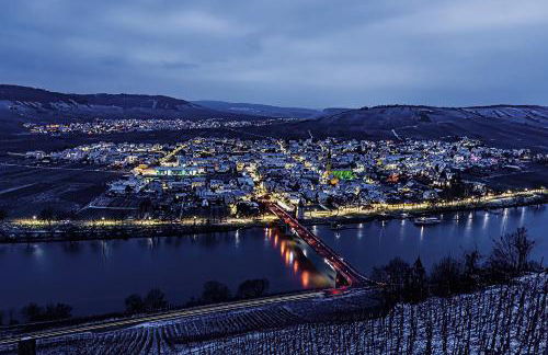 Bambuszimmer mit großem Dachgarten im Gästehaus Graf-Schmelzer - Foto 13