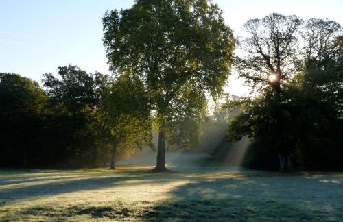 Chateau Chandler 17eme, Vallee de la Loire, Sologne, Centre Val de Loire - Foto 19