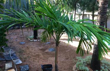 Casa operete - Foto 10