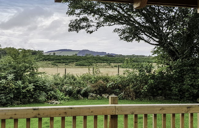 Bonnie View Lodge - Photo 19