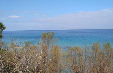 mare di zante "mare di levante" - Foto 45