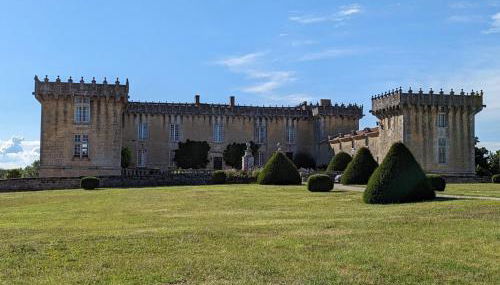 Gîte charmant au cœur d'un château historique avec parc, proche de Cognac, idéal famille et nature - FR-1-653-167 - Foto 5