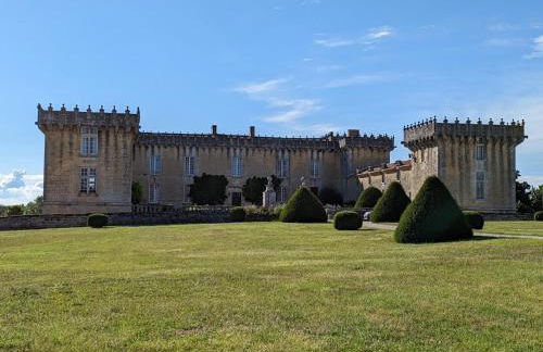 Gîte charmant au cœur d'un château historique avec parc, proche de Cognac, idéal famille et nature - FR-1-653-167 - Foto 5