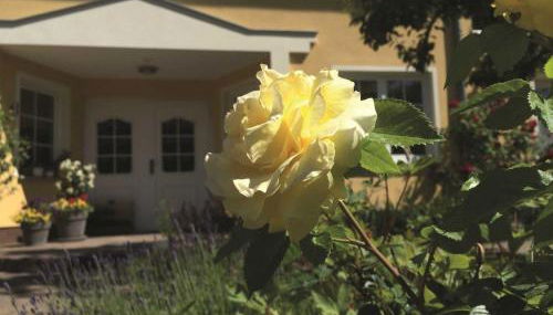 Ferienwohnung Mühlenblick - Foto 5