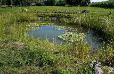 Pensjonat Feliksów - Photo 16