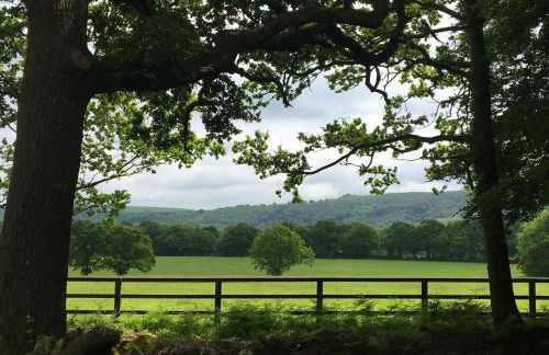 The Hideaway-South Downs National Park - Foto 29