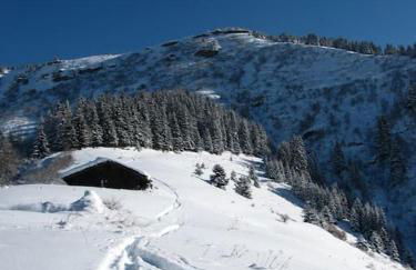 Chalet Le Wapiti, aux pieds des pistes, à 200m du village - Foto 34