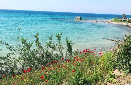 Avra Comfort Rooms - Family - Foto 40