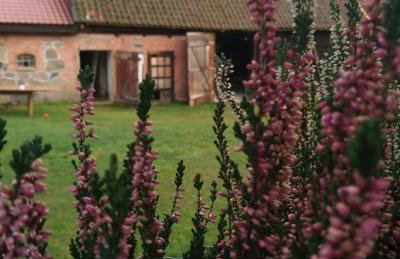 Camp Warmia - Foto 58