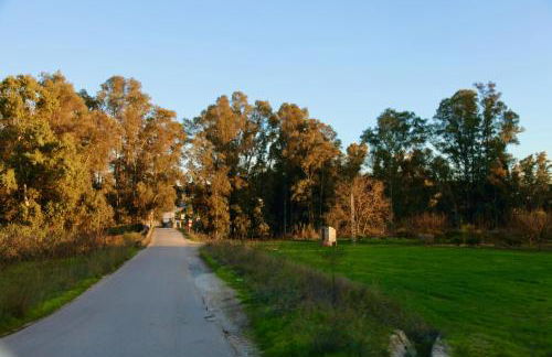 The Dragonfly Retreat - Photo 51