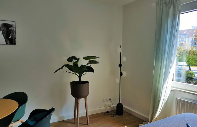 Glück Auf Appartements Walter-Hohmann - Foto 38