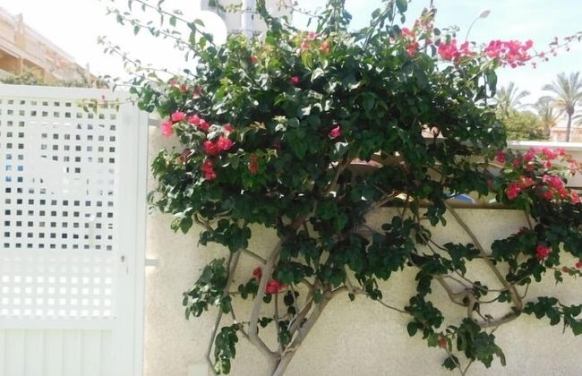 Bungalow en residencial con piscina - Foto 19