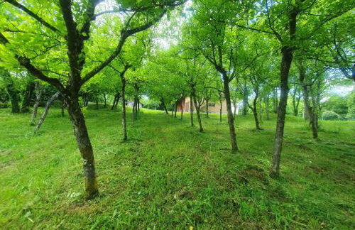 Monk Apartment - Foto 19