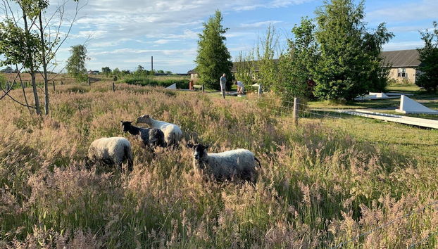 5 Person Holiday Home in Ronne - Photo 3, Miscellaneous