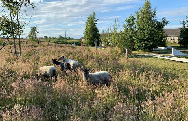 5 Person Holiday Home in Ronne - Photo 3