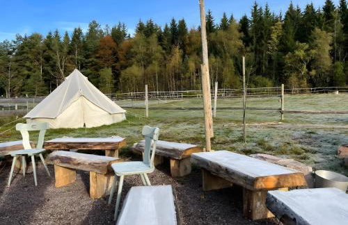 Das Falken Nest - Foto 4