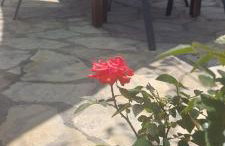 Studio apartment Sfinga - Photo 18