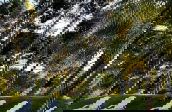 Departamento 3 Ambientes 2 Baños Pinamar Centro - Foto 23