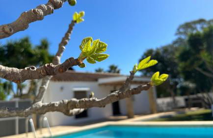 Vivienda Rural Atlántico Sur & Familias - Foto 2