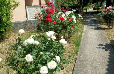 Anna Daniil Oasis Studios Skala Kallonis - Foto 55