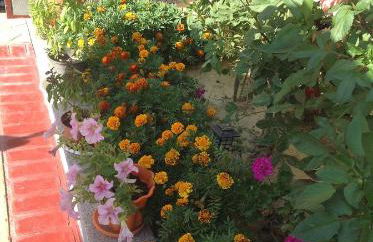 Villa Rafailia - Foto 79