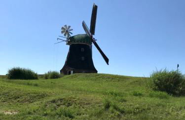 Bungalowpark am Salzhaff - Foto 20