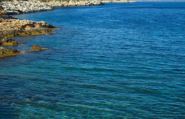 Amalia Residences - Photo 38