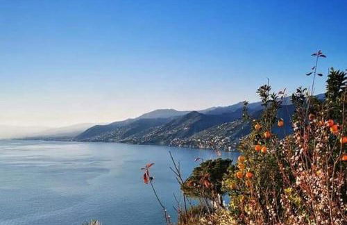 Rosablu vacanza tra mare e Parco di Portofino - Foto 24