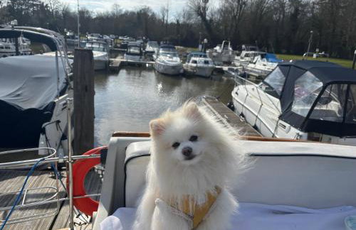 Floating tranquility - Foto 9