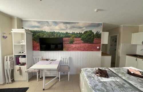 Heidelandhaus Zühlke mit gemütlicher Südterrasse - Foto 11