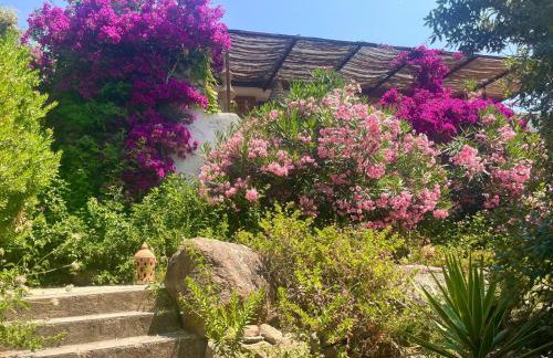 Villa LILY BAY baie de Santa Giulia-Porto Vecchio - Foto 54