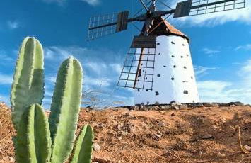 Amsterdam Lovely - Photo 74