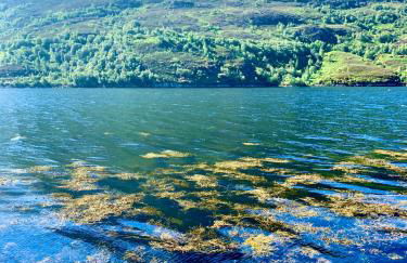 Creran Apartment, Kinlochlaich House - Foto 14