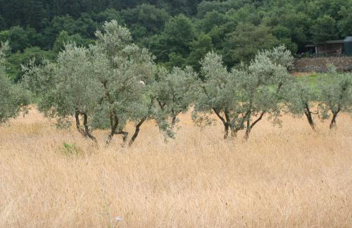 Sustainable Farmhouse In The Tuscan Countryside - Foto 21