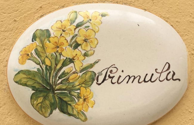 Agriturismo Podere Bucine Basso - Foto 47