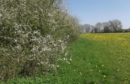 Hall Dale View near Matlock & Peak District - Photo 42