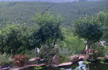 Pension mit Moselblick - Foto 31