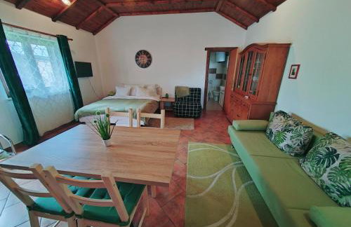 Studio apartman Buteo - Photo 27